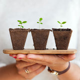 grow your business sustainably